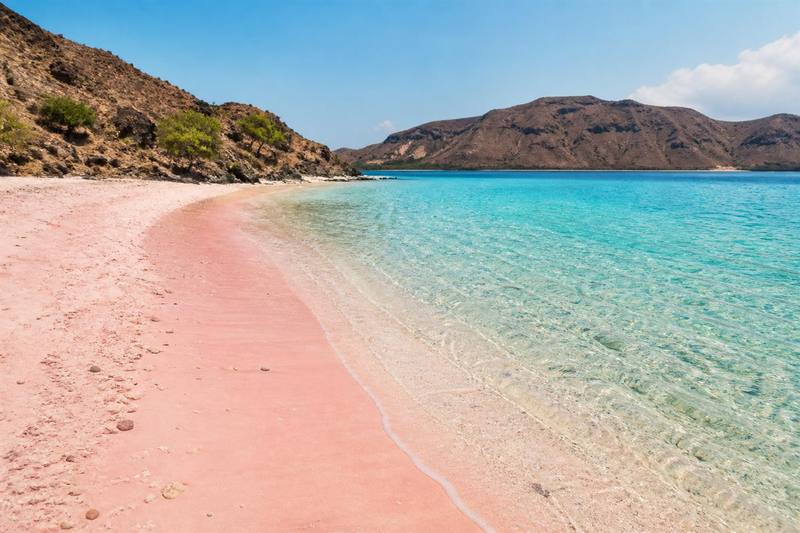 Pink Beach en el crucero por Komodo